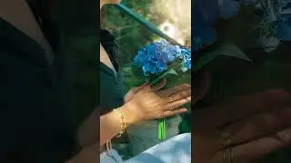 Yaz Serbest: Işığını Taşı, Kurallarını Unut
