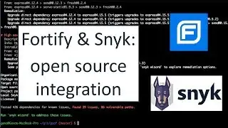 Open Source Integration: Fortify SSC and Snyk (2019)