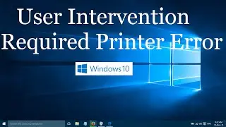 Printer Says User Intervention Required in Windows 10 and Windows 11