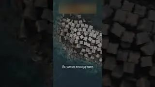 тетрапод