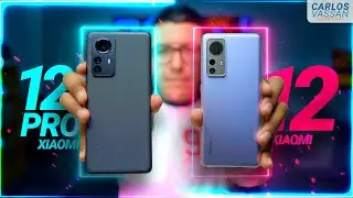 Xiaomi 12 VS 12 Pro | ¿Cuál te conviene más?