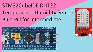 48. STM32CubeIDE DTH22 Temperature and Humidity Sensor with STM32F103C8T6