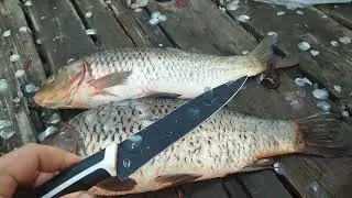 сазан фаршированный капустой с икрой 