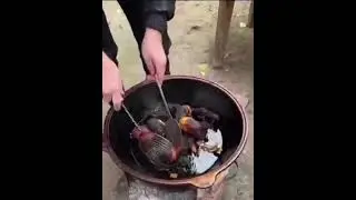 zapal bo‘ldi запал булди