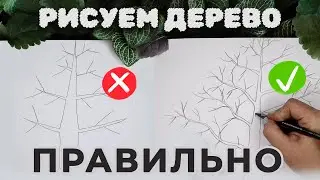 Как рисовать дерево правильно