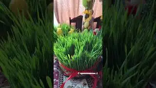 С праздником Светлой Пасхи🙏❤️