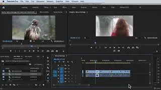 How to use Sequence Marker