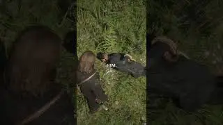 That's Why You Should NEVER Hogtie This O'Driscoll - Red Dead Redemption 2 