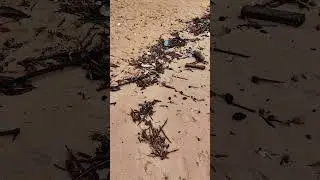 Что происходит с пляжами Таиланда после дождя