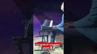 Искрометный текст от Бардина )))