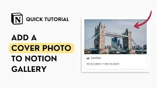 How to Add a Cover in Notion Gallery View (Quick Tutorial)