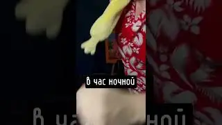 Стример люто флексит под КиШ