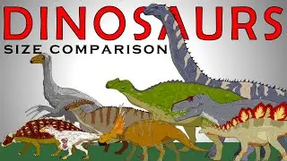 Random Dinosaurs Size Comparison vol.1 (T-rex, Stegosaurus, Argentinosaurus, Triceratops)