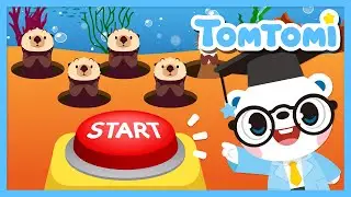 Guessing the Similar but Different Animals❓❗ | Let's play animal games! | Animal quiz⭐ | TOMTOMI