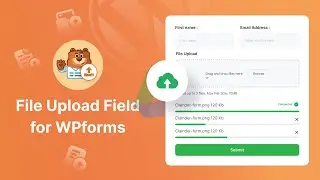 How to Use Drag & Drop File Upload Field in WPForms for Free?