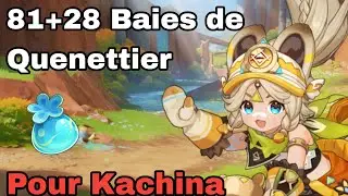 81+28 BAIES de QUENETTIER (matériaux d'ascension de Kachina) Guide Genshin Impact FR