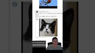 One too many cats in my Wildlife Dataset - Tensorflow