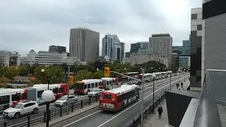 OC Transpo Transitway Bus Action in the Downtown Core - Final Days in October 2019