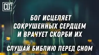 Слово,  приносящее исцеление утомленной душе | Библия | Relaxing