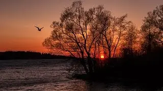 Борис Моисеев - Глухонемая любовь...