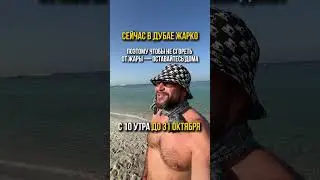 Dubai, UAE 🇦🇪 В этот период лучше не высовываться…