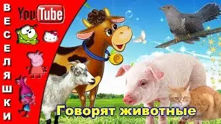 Говорят животные /песенка клип/ - 2017 Вот кукушка на суку говорит ку ку,ку ку