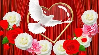 💖Я тебя люблю! С днем святого Валентина! 💖 День влюбленных!