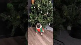 Новогодний рэкет
