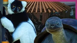 Madagascan House | Planet Zoo