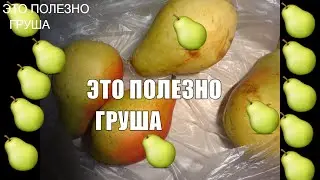 ГРУША Очень полезна Полезные свойства груши