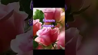 Доброе Утро !!!