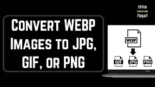 How to Convert WEBP Images to JPG, GIF, or PNG