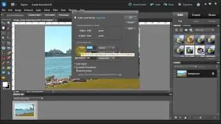 Resize an image for Web or Print in Photoshop Elements 10